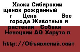 Хаски Сибирский (щенок рожденный 20.03.2017г.) › Цена ­ 25 000 - Все города Животные и растения » Собаки   . Ненецкий АО,Харута п.